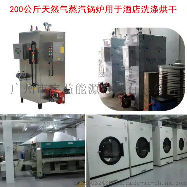 石鍋魚配套用全自動(dòng)燃?xì)庹羝仩t737200432