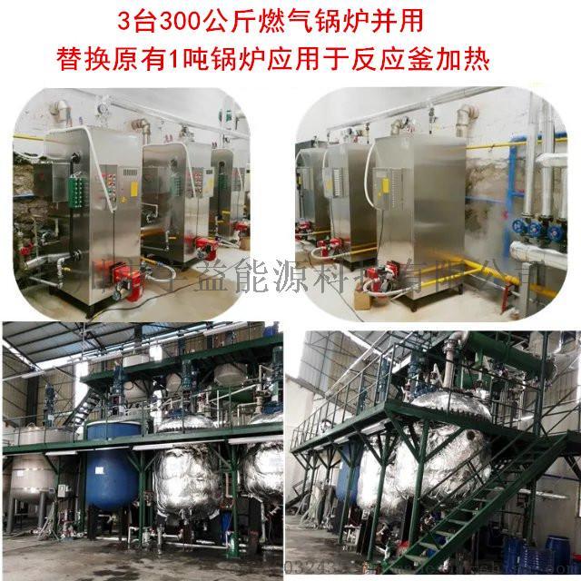 石鍋魚配套用全自動(dòng)燃?xì)庹羝仩t737200402